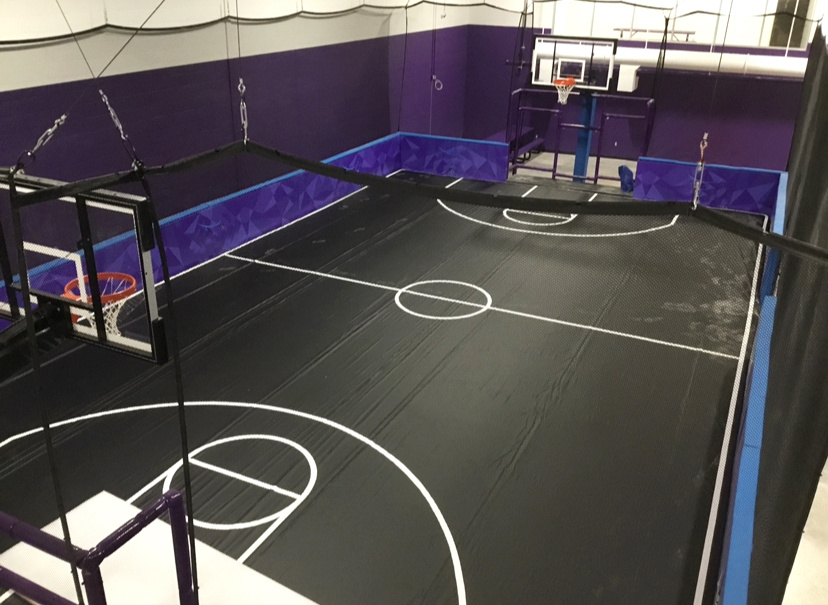 Multi-Sport-court-purple-basic